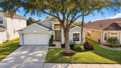/international/us/17413-cricket-chirp-loop-land-o-lakes-fl-110120916639/