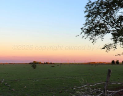 /international/us/504-s-redwood-avenue-adrian-tx-110120451455/