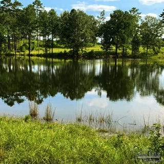 /international/us/9023-county-rd-34-millry-al-110103979267/