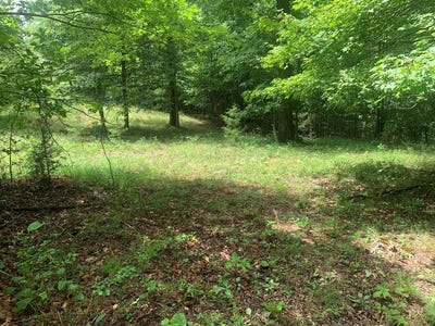 /international/us/lot-56-meadow-drive-spencer-tn-110101070237/?lang=es