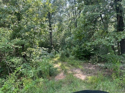 /international/us/362-byrdway-drive-lowndesboro-al-110093737475/