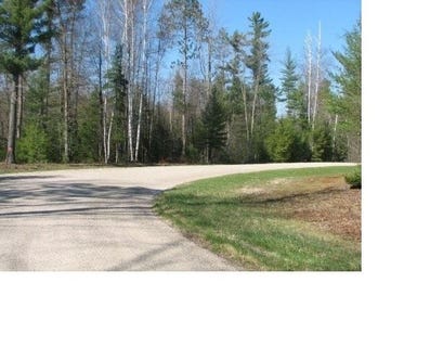 /international/us/pine-ridge-trail-abrams-wi-110119923731/