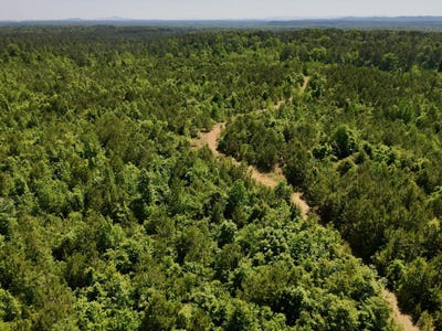 /international/us/001-hwy-61-b-wilsonville-al-110107826571/