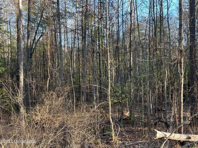 /international/us/110-middle-road-lot-2-lake-george-ny-110074065053/