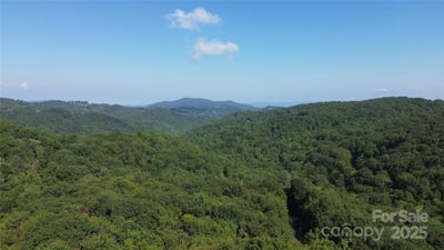 /international/us/154-raccoon-road-beech-mountain-nc-110101319951/