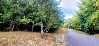 /international/us/se-sunset-lot-556-spencer-tn-110110137446/