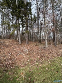/international/us/5627-alabama-highway-227-guntersville-al-110103987453/