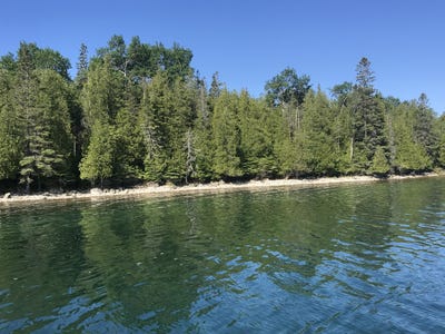 /international/us/tbd-s-coryell-island-cedarville-mi-110092906158/?lang=zh-tw