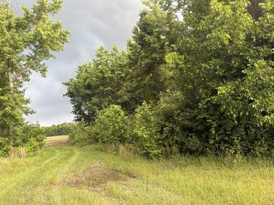 /international/us/2227-goward-road-alcolu-sc-110108652788/