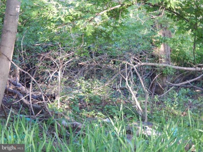 /international/us/lot-91-siebert-street-martinsburg-wv-110099033315/