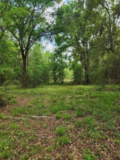 /international/us/4611-nw-244th-avenue-alachua-fl-110099865247/?lang=zh-cn