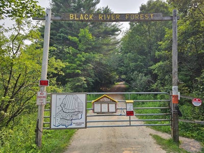 /international/us/bellingertown-rd-forestport-ny-110120027556/