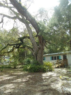 /international/us/20425-ne-143rd-street-salt-springs-fl-110102777887/