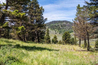 /international/us/1021-slumgullion-trail-powderhorn-co-110093260470/