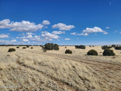 /international/us/cr-5143-concho-az-110108409575/