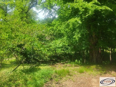 /international/us/park-paris-tn-110099133351/