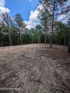 /international/us/peyton-drive-lot-2r-3-eagle-springs-nc-110109507151/
