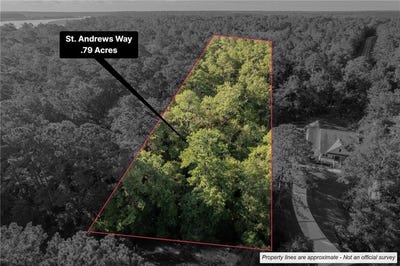 /international/us/lot-2-st-andrews-way-woodbine-ga-110100994246/