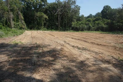 /international/us/166-an-county-road-2920-palestine-tx-110101587961/