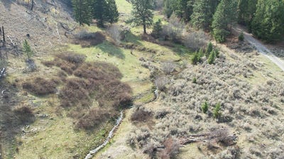 /international/us/1-tract-bull-elk-drummond-mt-110106447653/