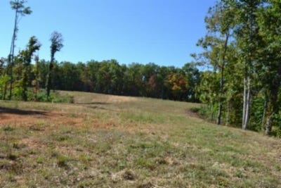 /international/us/11-27ac-ne-rock-springs-rd-lot-11-6-celina-tn-110120514586/