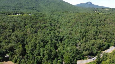 /international/us/tract-c-nc-highway-89-w-danbury-nc-110106025789/