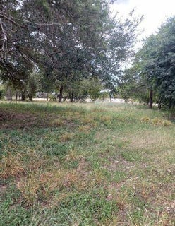 /international/us/2376a-cox-st-beeville-tx-110095777116/