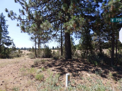 /international/us/w-ponderosa-dr-lookout-ca-110096878237/
