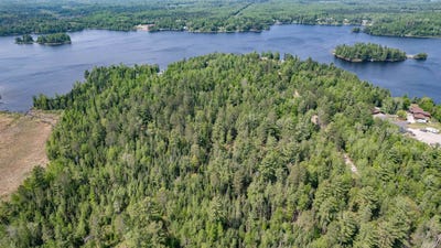 /international/us/xxx-forest-dr-duluth-mn-110099954972/
