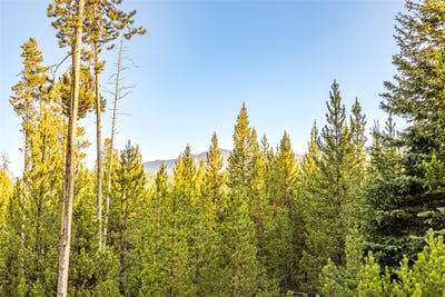 /international/us/harris-road-lot-10-tbd-anaconda-mt-110099982569/