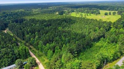 /international/us/4-7-acres-tract-2-grant-18-grapevine-ar-110108678271/