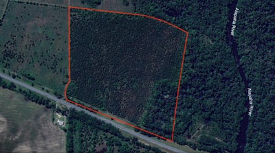 /international/us/nw-hwy-41-jasper-fl-110099866825/