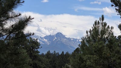 /international/us/118-pika-lane-ridgway-co-110120016209/