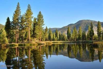 /international/us/193-redding-way-unit-257-carson-city-nv-110101066372/?lang=zh-cn