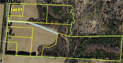 /international/us/lot-1-tbd-w-forest-drive-state-road-nc-110097703178/