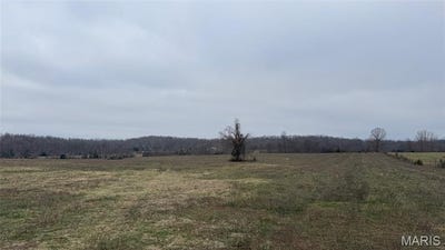 /international/us/1-ripley-z-4-gatewood-mo-110106852334/