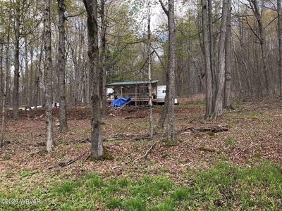 /international/us/birch-hill-road-lot-11-shunk-pa-110108391925/