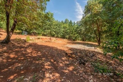 /international/us/171-connor-creek-rd-junction-city-ca-110102173548/