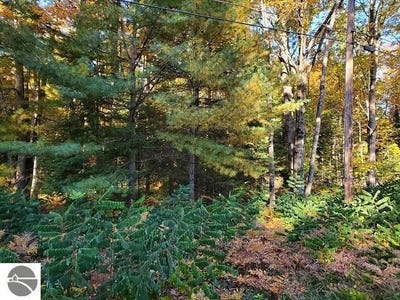 /international/us/0-scenic-river-drive-alger-mi-110099327270/?lang=zh-tw