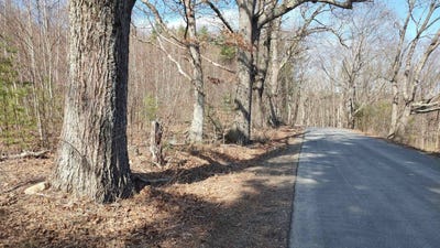/international/us/lot-1-50-1-colburn-road-new-boston-nh-110098935446/?lang=zh-tw