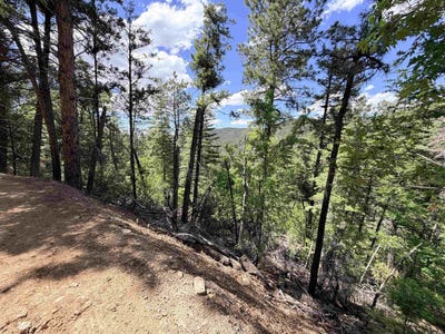 /international/us/henry-summit-dr-high-rolls-mountain-park-nm-110109583122/