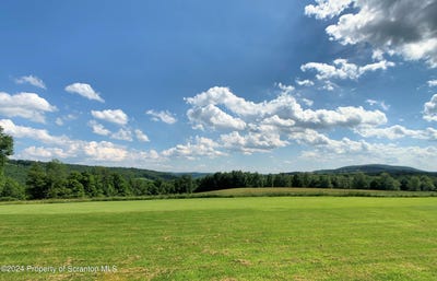 /international/us/lot-3-state-route-2014-clifford-twp-pa-110090439124/
