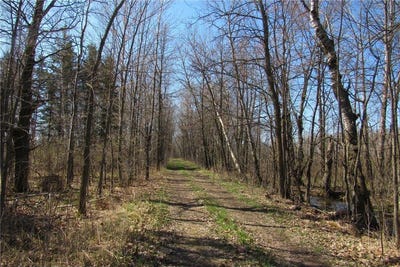 /international/us/tbd-1-county-road-41-willow-river-mn-110108752784/