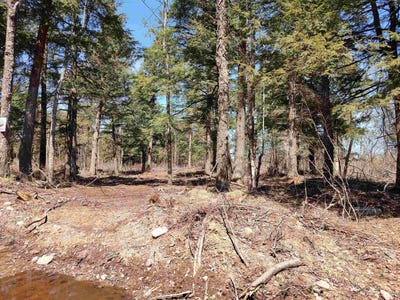 /international/us/tbd-black-creek-west-skanee-mi-110099508899/