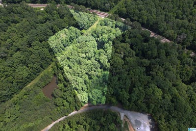 /international/us/weatherton-trail-lot-3-harpersville-al-110110303412/
