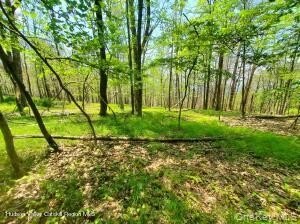 /international/us/piney-lane-cragsmoor-ny-110107546725/