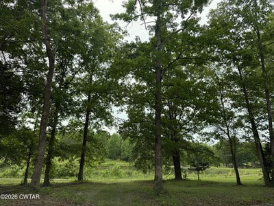 /international/us/clayton-drive-camden-tn-110108177255/