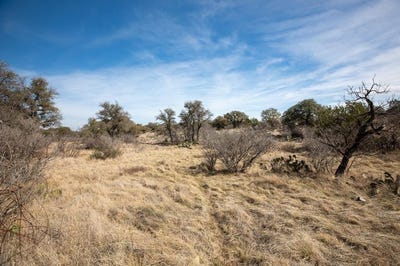 /international/us/16719-lot-2-salt-branch-loop-lot-2-mason-tx-110105837820/