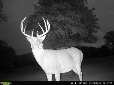 /international/us/47ac-highway-16-shamrock-ok-110104291883/