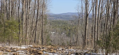 /international/us/9a-1-gore-road-otisfield-me-110098911219/?lang=en